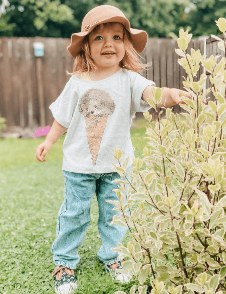 Organic Cap Sleeve Tee - Ice Cream Hedgie - The QT