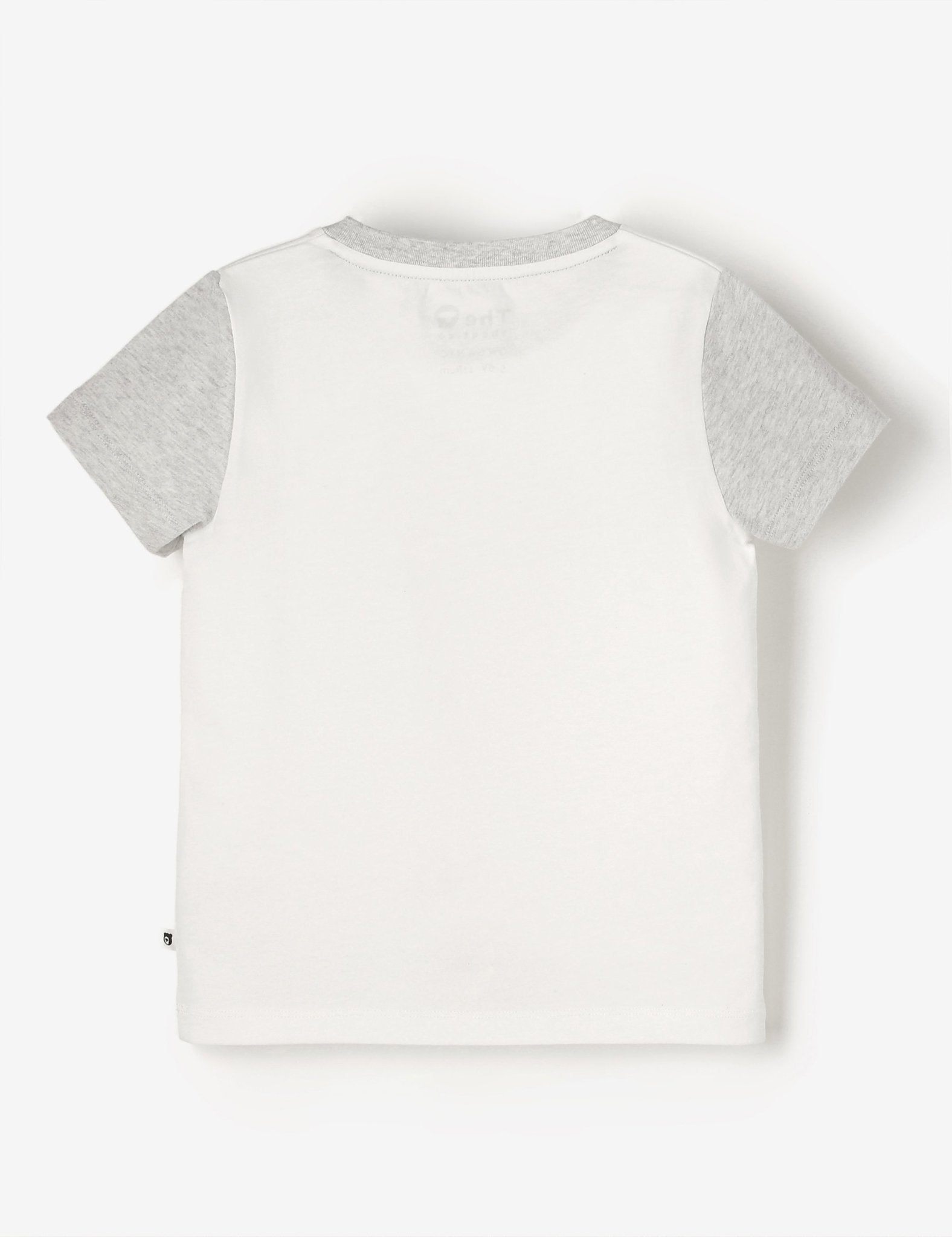 Organic Classic Tee - Ice Cream Hedgie - The QT