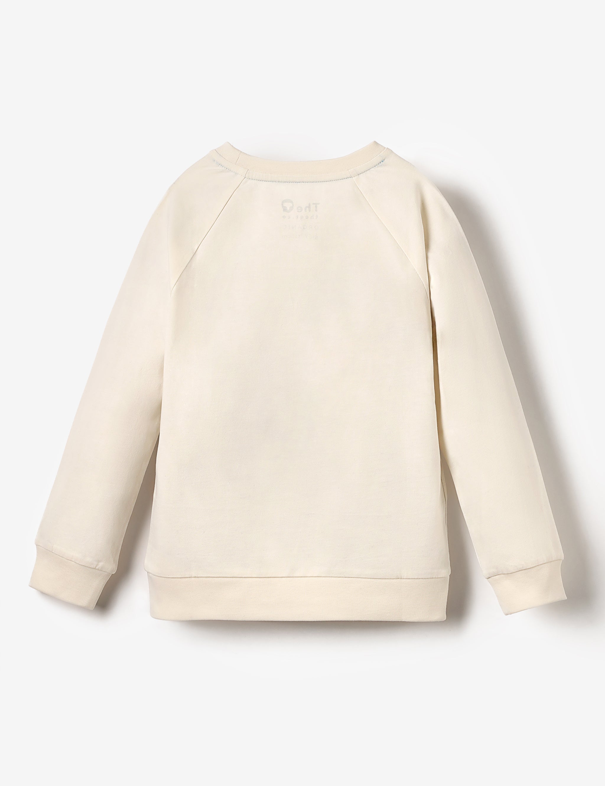 Organic LS Raglan Tee - Glider Pilot